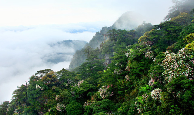 井冈山风景名胜区 井冈山风景名胜区
