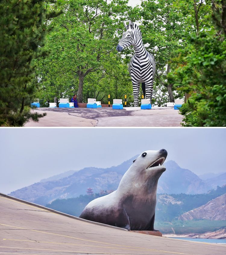 【关于神雕山野生动物园】 西霞口神雕山野生动物自然保护区位于威海的荣成市成山镇西霞口村东北处,临海兀立,山势陡峭。相传,秦始皇东巡成山曾在此弯弓射过大雕,故名神雕山。总投资已超过1亿元,全区占地3800亩,辟有猛兽区、草食动物区、海洋动物区、非洲动物区、熊乐园、 百鸟园 、猛禽园、猩猩园、豹狼山、猴子山、 金丝猴馆 、熊猫馆等动物栖息地。是全国最大的、风格最独特的海岸野生动物自然保护区。 园区内还有玉观音、关帝庙、秦始皇射雕遗迹及汉武帝赐建的霞主祠等旅游景点。 在神雕山野生动物自然保护区,游人们