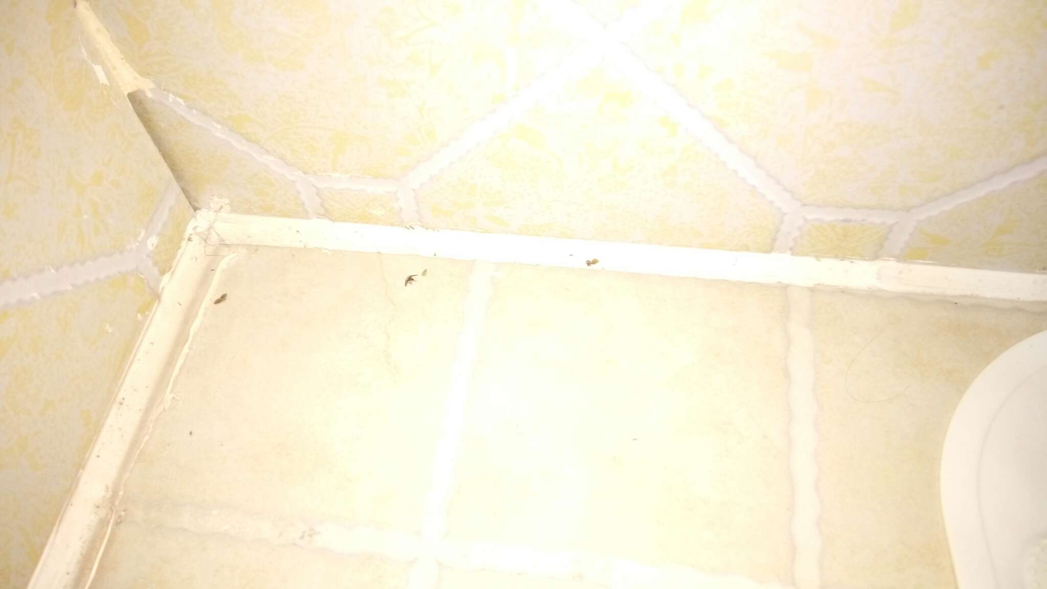 蚌埠人才之家宾馆