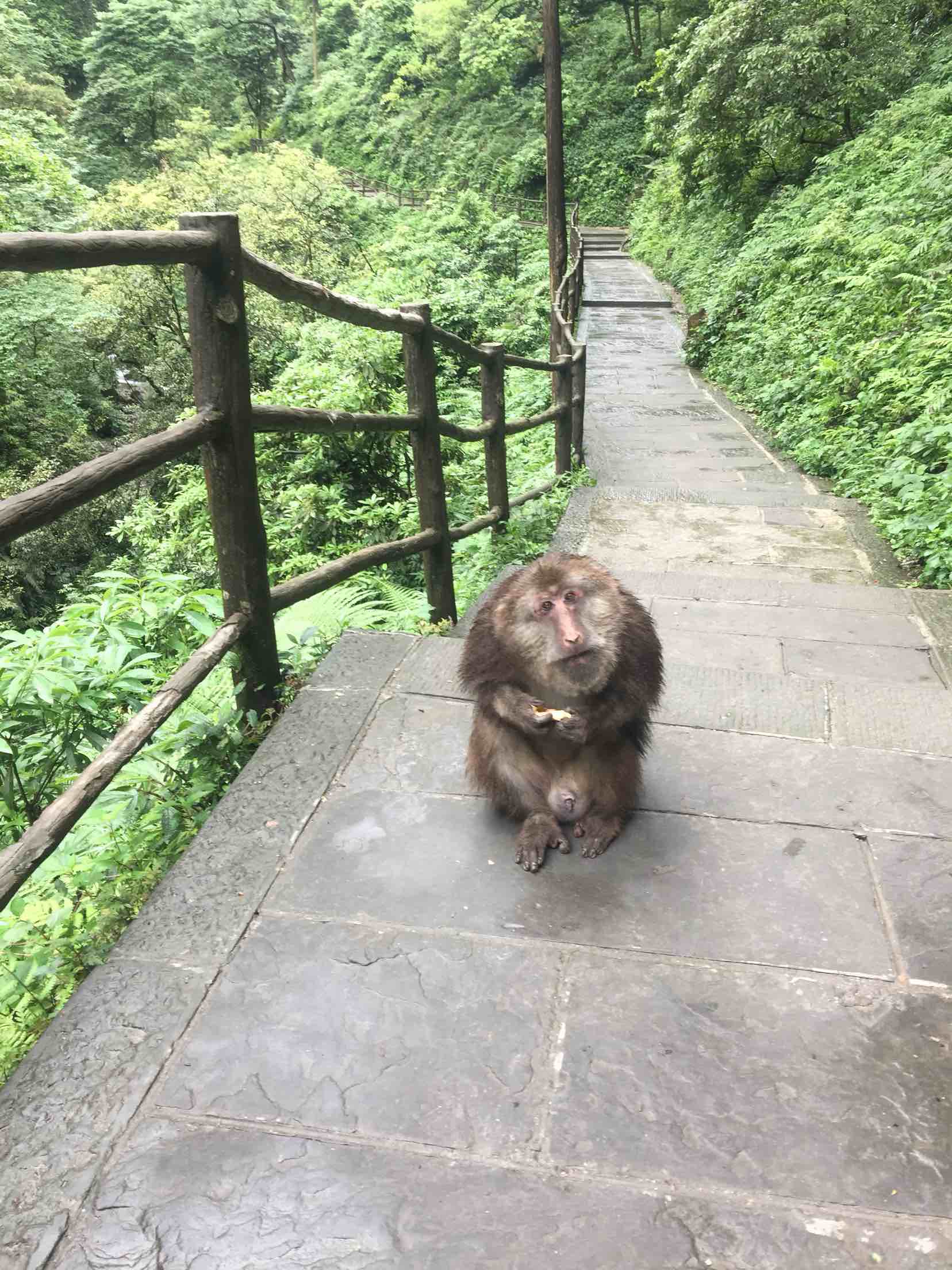 如家快捷酒店(成都宽窄巷子店)预订_如家快捷