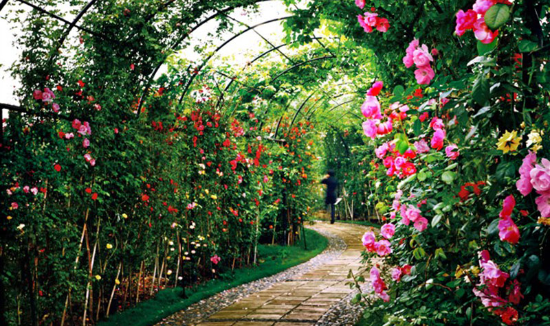 从化宝趣玫瑰世界门票预订, 从化宝趣玫瑰世界门票团购, 从化宝趣玫瑰世界门票价格-春秋