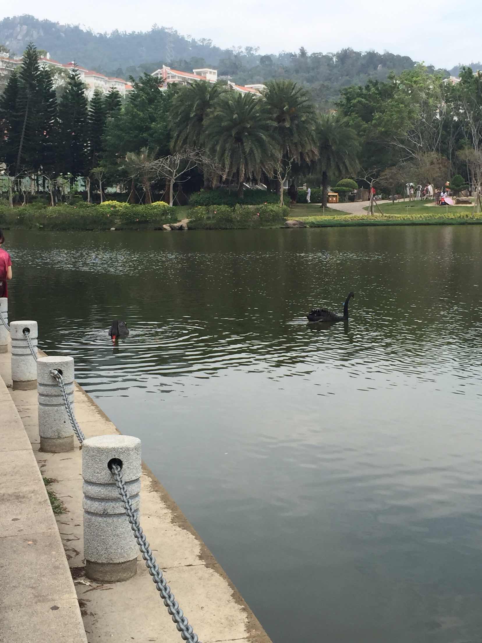 苏州火车站出发\/1458起 厦门+鼓浪屿+云水谣火