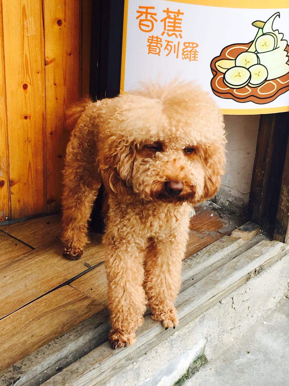 如家快捷酒店(苏州拙政园店)预订_如家快捷酒