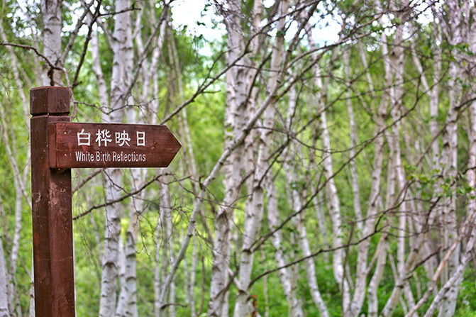 说说这次旅行: 丰宁是距离北京最近的天然大草原,夏季人们理想的度假避暑的胜地。张家口康保县位于河北省最西北部,县境东、北、西三面与内蒙古自治区接壤,南距北京、北距边城二连浩特均为350公里,因为地理位置的原因,这一片区域属于河北省十个深度贫困县中最贫困的县,但康保自然资源丰富,历史上属辽金满蒙民族游牧之地,既有源远流长的胡文化、匈奴文化、蒙古文化的浓厚底蕴,又受汉民族文化的熏陶,其县内的很多地域都属于尚未开发的处女地,这也吸引了众多喜欢小众旅游游客的到来 一、出发前的准备: 1,身份证,学生