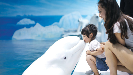乐岛海洋王国门票预订_乐岛海洋王国门票价格