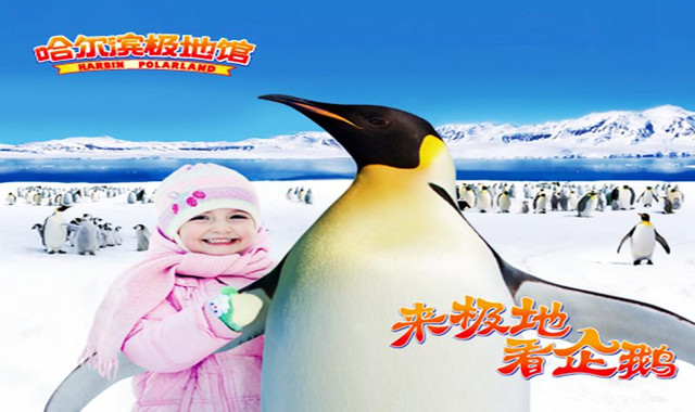 哈尔滨极地馆 哈尔滨极地馆