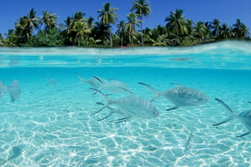 巴厘岛跟团游_2017巴厘岛跟团游报价_巴厘岛