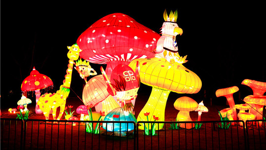 武汉园博园门票预订_武汉园博园门票价格_武