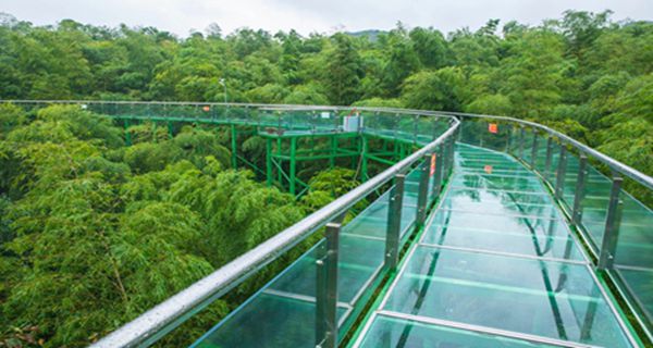 【新品热推】 宜兴竹尖长廊+竹林漂流+地下河