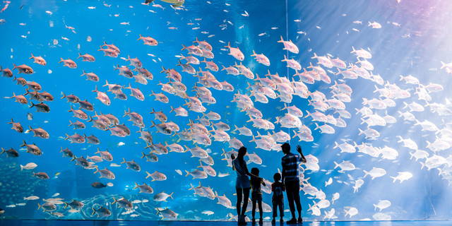 码头门票_澳门环岛游湾仔旅游码头旅游攻略_