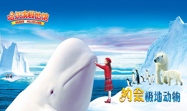 哈尔滨极地馆 哈尔滨极地馆