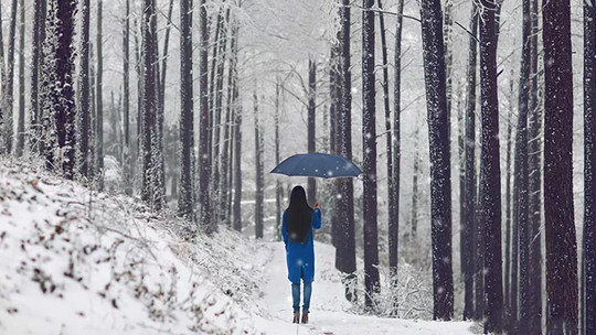 莫干山风景区门票预订_莫干山风景区门票价格