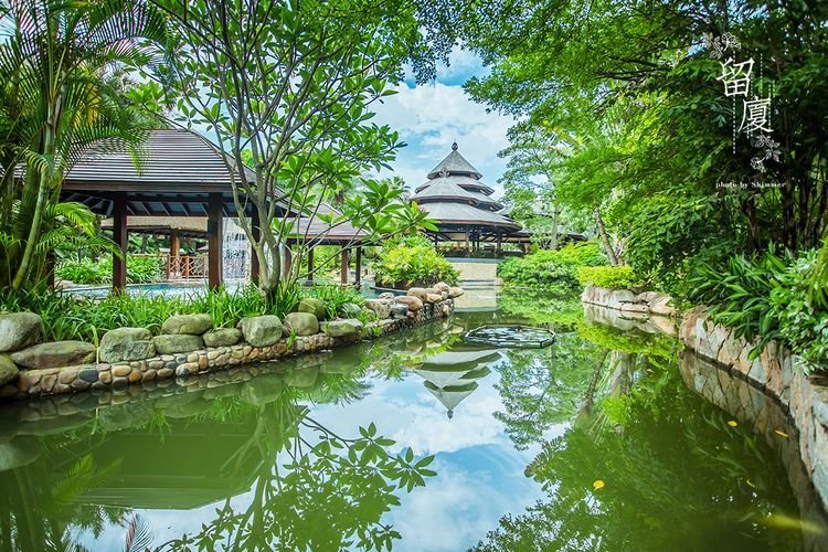 主题陈列