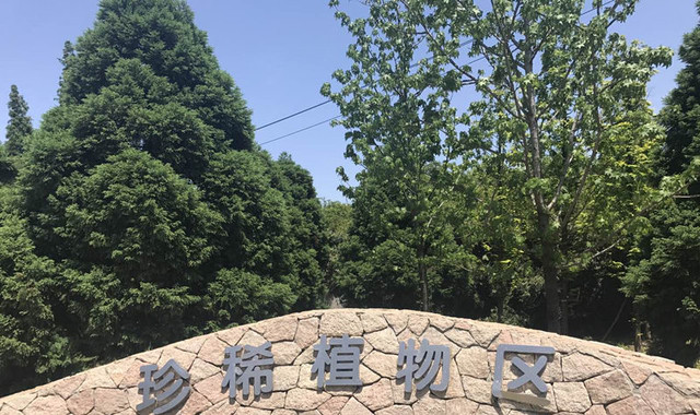 苏州上方山国家森林公园 苏州上方山国家森林公园
