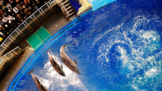 老虎滩海洋公园门票预订_老虎滩海洋公园门票