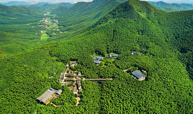 天目湖南山竹海 天目湖南山竹海