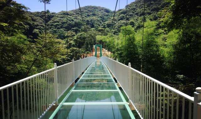 桂山 桂山