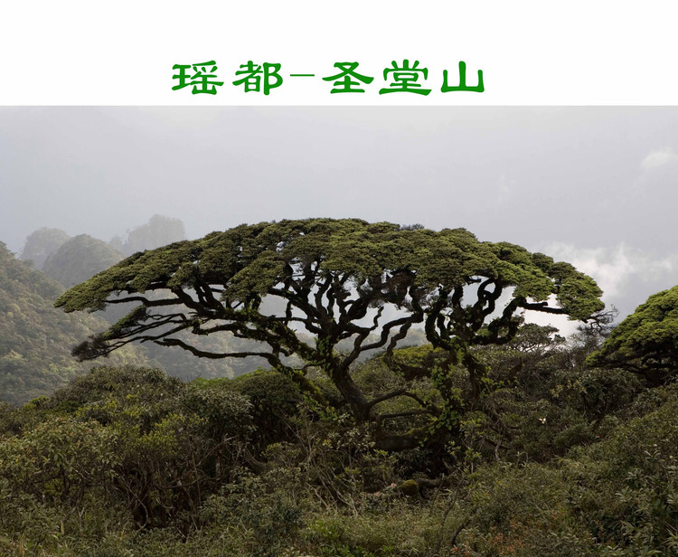 来宾 圣堂山圣堂山是广西金秀县大瑶山的主峰,海拔达1979米,是华南最