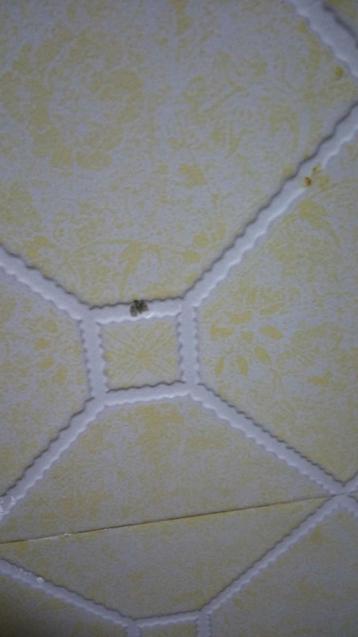 蚌埠人才之家宾馆