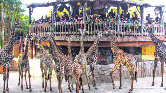 顺德长鹿农庄门票预订_顺德长鹿农庄门票价格