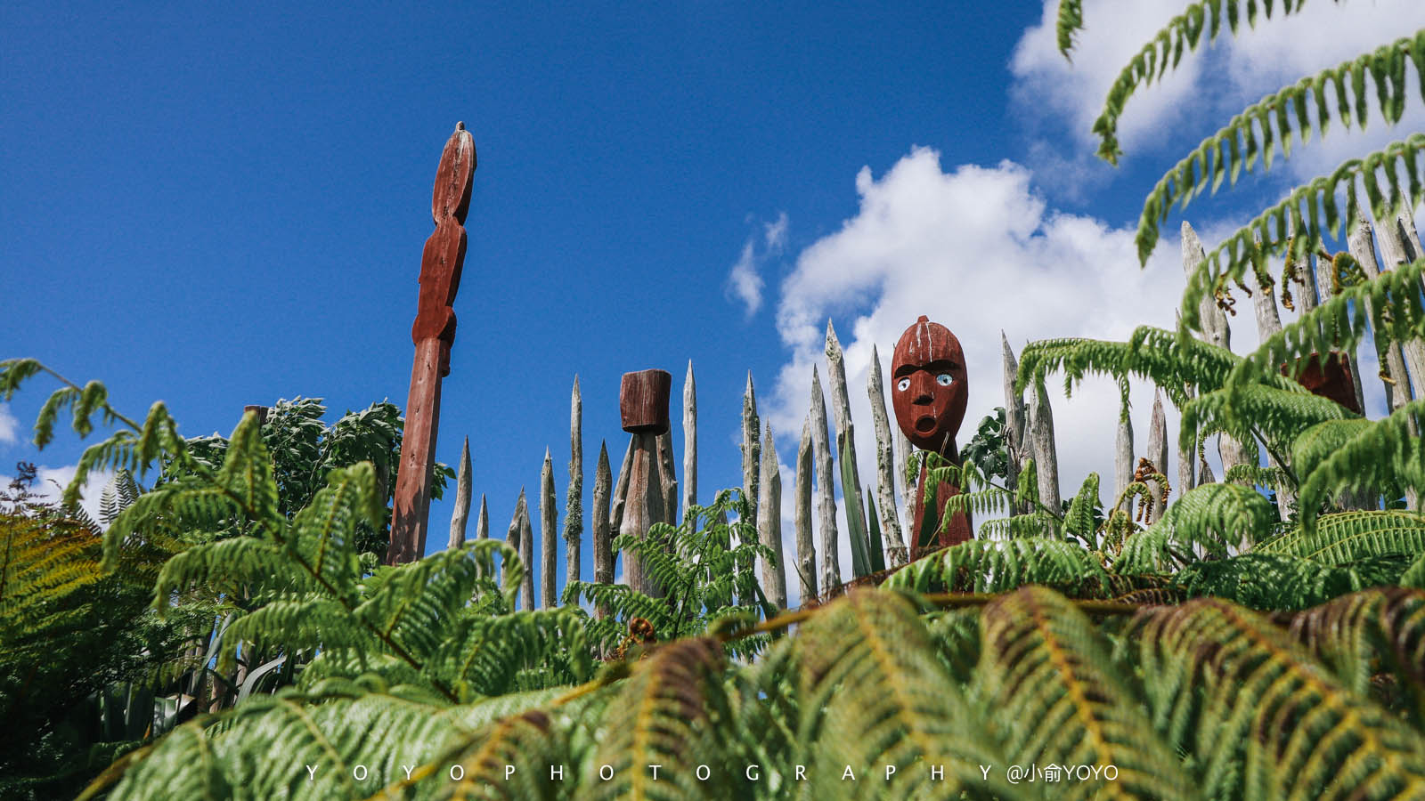 一个人蹩脚英文勇闯新西兰北岛奥克兰+汉密尔
