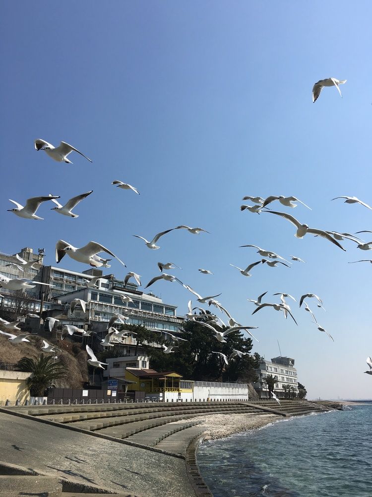 爱知郡三谷温泉松风园 (Shofuen Aichi)