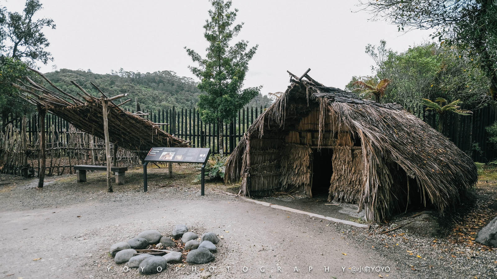 一个人蹩脚英文勇闯新西兰北岛奥克兰+汉密尔