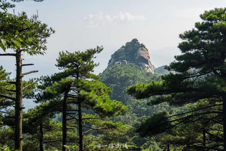 游览天柱山,自然不能错过山脚下的三祖寺。 下车后,远远便能看见三祖寺的大牌坊,牌坊后面是古风浓郁的引桥,过了牌坊,一片大气的山寺建筑群映入眼帘。 三祖寺占地面积7.04平方公里,整座寺院依山而建,各殿依山势层层往山腰递进,外观肃穆威严,堪称佛教建筑的典范之作。 迈过大山门,最先映入眼帘的是前庭中央的一个佛钵,这个佛钵最初由禅宗三祖传给四祖道信,禅学也从天柱山传至世界七十多个国家,三祖寺是被佛教徒所尊称的禅宗祖庭和僧璨的道场。 僧璨大约生于公元510年,圆寂于公元606年,是当时的长寿高僧。 僧璨对禅宗的最