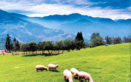 徐州到台湾跟团游