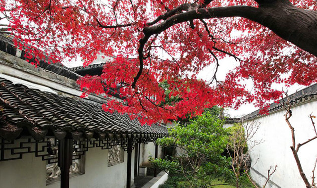 网师园 网师园