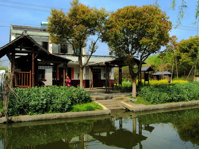 走进金山农民画发源地中洪村