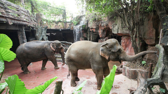 顺德长鹿农庄门票预订_顺德长鹿农庄门票价格