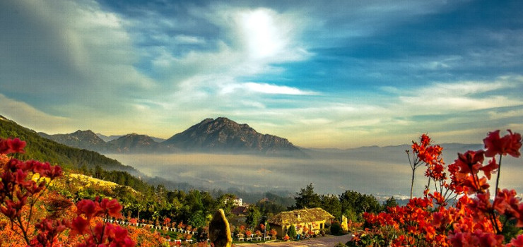 大别山映山红生态文化大观园