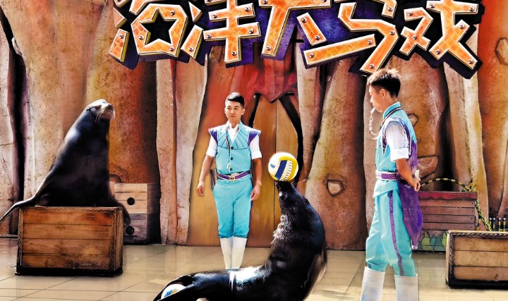 //pic5.40017.cn/i/ori/158chPDnS2k.jpg
