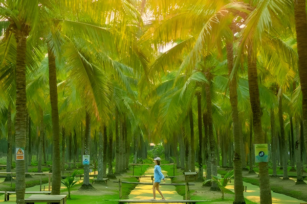 6天5晚·曼谷+清迈+清莱+黑白蓝庙