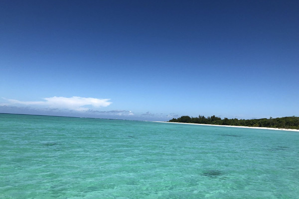 5天4晚·马来西亚跟团游|畅玩亚庇红树林+✨环滩岛+神山探秘