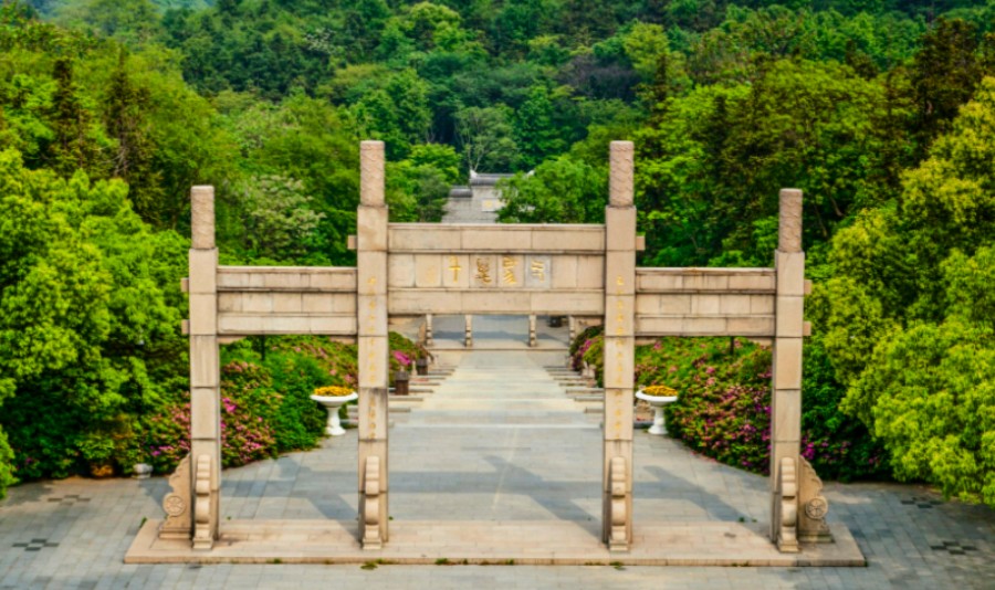 龙背山森林公园门票