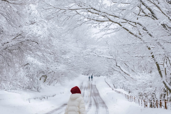 5天4晚·济州+牛岛(商务车上岛环岛游)+赏雪泡温泉汗蒸+纯玩私家团