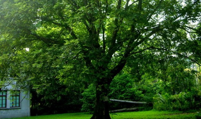 //pic5.40017.cn/i/ori/XGIS2k7Y7m.jpg