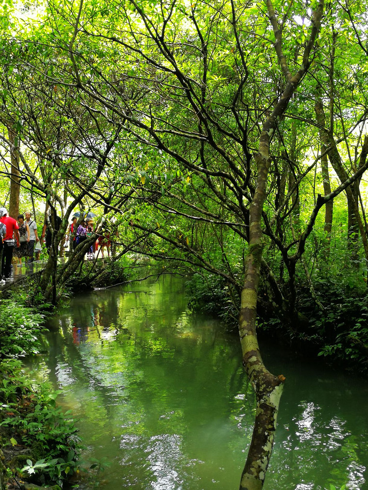 【黔南州攻略大赛】 黔南,遇见便已沦陷 水上森林