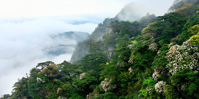 rBLkBVjbeEOAHym9AAQAADbcsao298_640x320_00.jpg