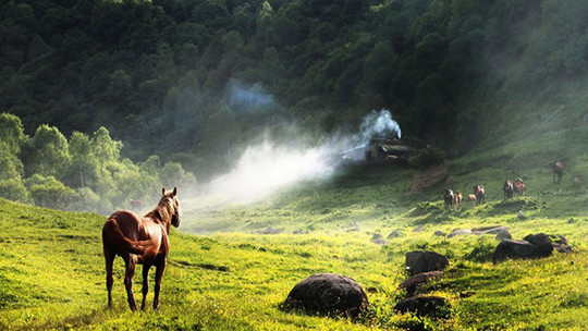 关山牧场(关山草原)门票预订_关山牧场(关山草