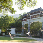 淡浮院