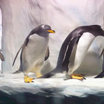 南昌海洋公园