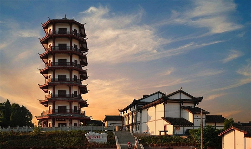 陈抟故里崇龛花海潼南油菜花