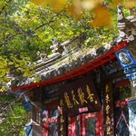 朝阳槐树洞