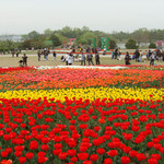 合肥植物园