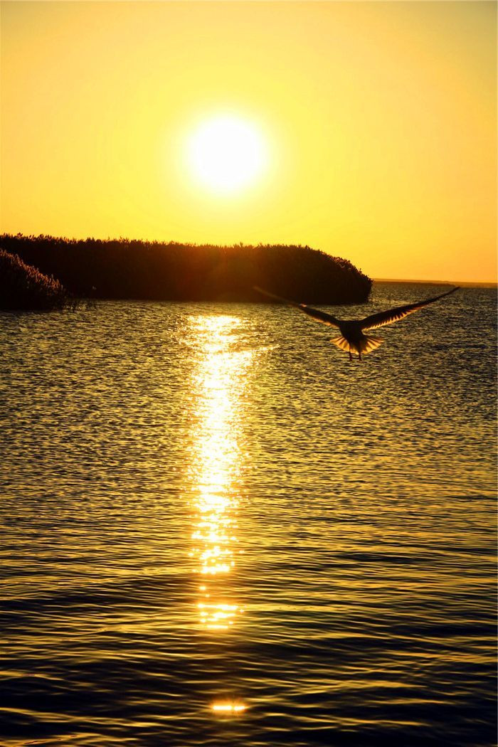 【内蒙古】居延海日出