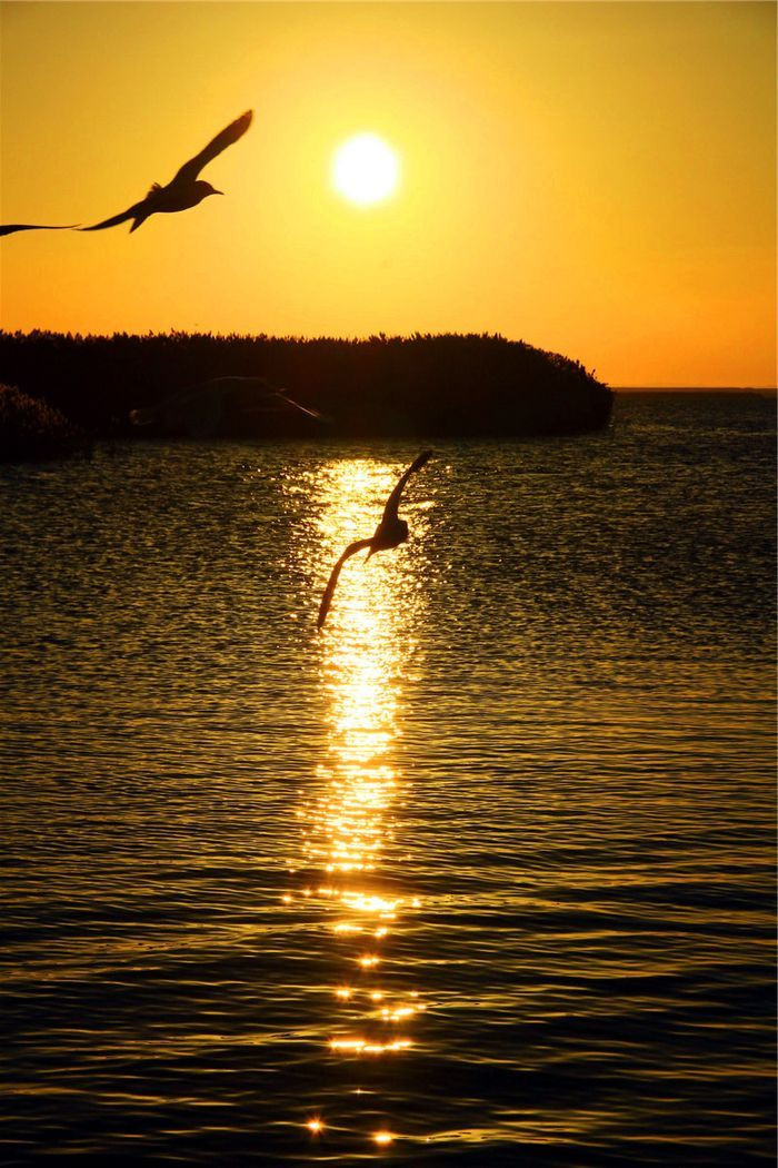 【内蒙古】居延海日出