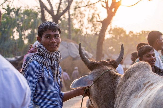 耍酷的帅哥,大热天还裹着围巾. 孟加拉牛市